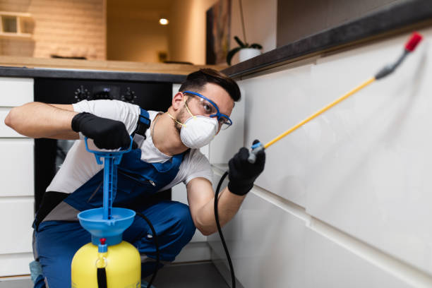 Best Bed Bug Extermination  in Pendergrass, GA