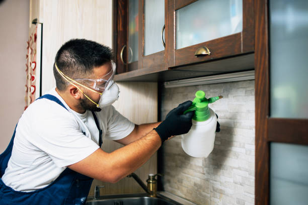 Best Affordable Pest Control Services  in Pendergrass, GA