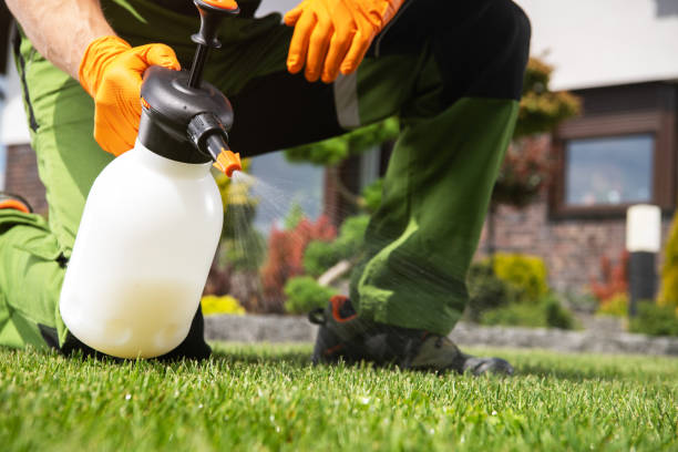 Best Pest Control Near Me  in Pendergrass, GA