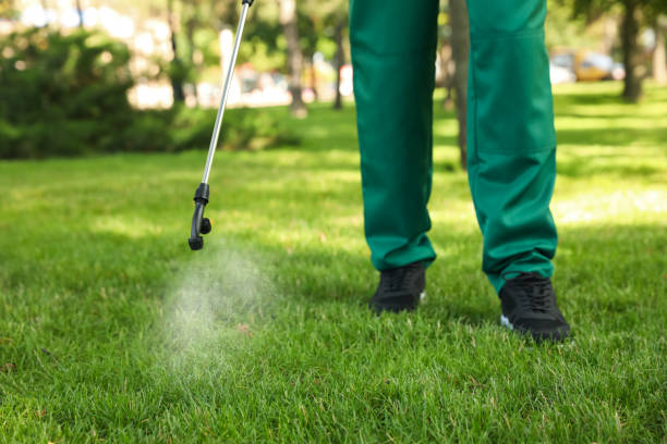 Insect Control in Pendergrass, GA