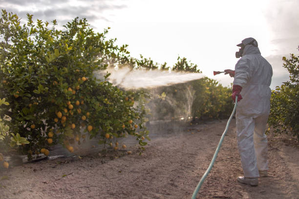 Best Mosquito Control Services  in Pendergrass, GA