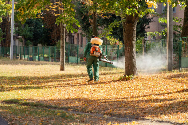 Best Insect Control  in Pendergrass, GA