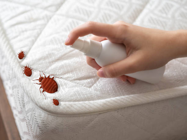 Best Affordable Pest Control Services  in Pendergrass, GA