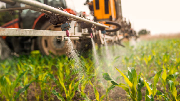 Best Pest Control Cost  in Pendergrass, GA