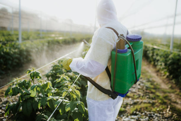Pest Control Cost in Pendergrass, GA